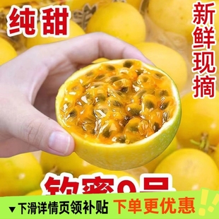 大原果3 广西钦蜜9号黄金百香果新鲜水果当季 整箱百香果 包邮 5斤