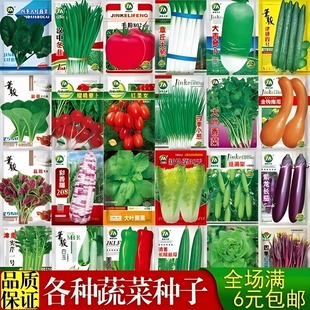 四季 种植菜种籽心菜生菜葱蒜香菜白菠菜芥菜芥兰小葱盆栽蔬菜种孑