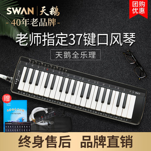 天鹅全乐理口风琴37键32键儿童小学生专用初中生初学成人专业演奏