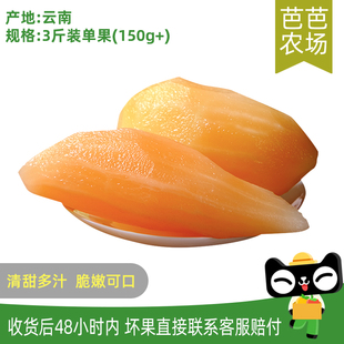 3斤单果150g起 云南雪莲果气柱装 芭芭农场