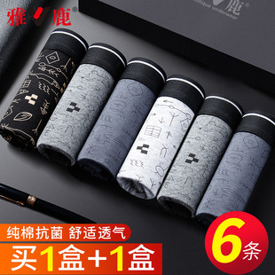 四角短裤 男生男款 雅鹿男士 纯棉平角透气男式 2025新款 内裤 全棉正品