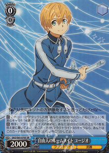 ユージオ 卡牌 刀剑神域UW ルームメイト 黑白双翼 自由人