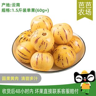 芭芭农场 云南圆果人参果1.5斤单果60g起