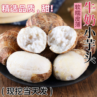 云南牛奶芋头小香芋5斤新鲜毛芋头现挖农家自种奶油芋艿软糯蔬菜