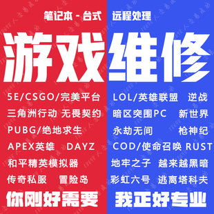 LOL英雄联盟三角洲无畏契约APEX塔科夫SCUM和平精英RUST机器COD码