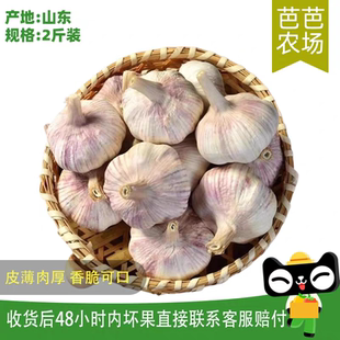 芭芭农场兑换 干大蒜2斤装