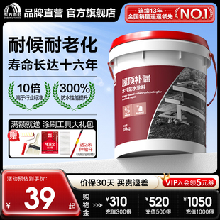 东方雨虹防水胶补漏材料涂料屋顶防漏堵漏王房顶沥青防水漏水雨虹