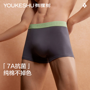 内裤 短裤 四角裤 2025新款 男式 男款 有棵树男士 青少年纯棉男生平角裤