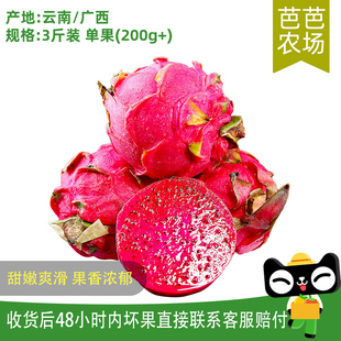 单果200g 红心火龙果3斤装 芭芭农场兑换