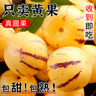 人参果新鲜水果云南石林黄心圆果树上熟七彩人叁果应当季 包邮 整箱