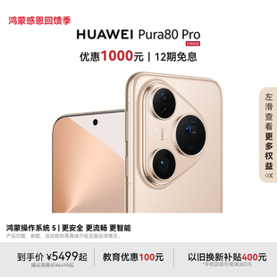 Pro一英寸主摄 Pura 鸿蒙智能手机华为官方旗舰店 色卡 HUAWEI 优惠1000元 个性 辅助构图