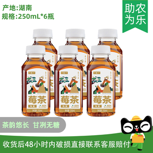 6瓶 永顺一拾一莓茶乌龙复合茶饮料250mL 芭芭农场