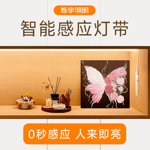 烁宇人体感应led灯带充电无线自粘免插电厨房酒柜衣柜免布线灯条