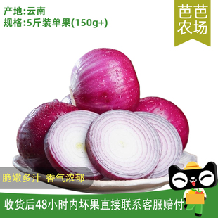 芭芭农场兑换 紫皮洋葱5斤单果150g